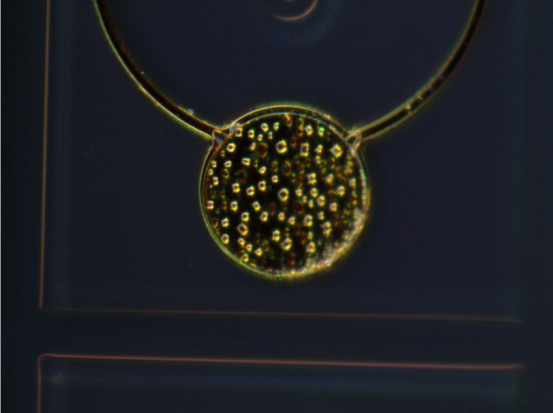 a3aee649d393dfe23f76fe539465ef45_85d7bb40-749f-4ada-97ae-db016f9f9ec3.png a3aee649d393dfe23f76fe539465ef45_85d7bb40-749f-4ada-97ae-db016f9f9ec3.png